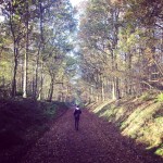 15078680_1489219547772549_6019323919418360464_n