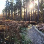 15230634_1497539996940504_2869560985336068165_n