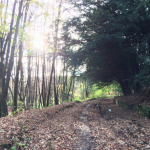 Screen Shot 2015-11-26 at 13.46.28