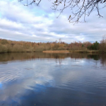 Screen Shot 2015-11-26 at 13.46.36