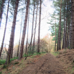 Screen Shot 2015-11-26 at 13.46.46