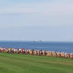 Screen Shot 2018-08-07 at 12.36.20