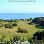 14424792_1114639718613600_7022936893424257865_o