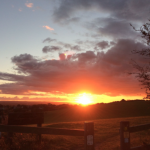 Screen Shot 2020-06-03 at 10.50.03