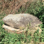 Screen Shot 2020-07-28 at 13.44.45