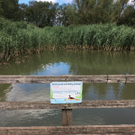 Screen Shot 2020-07-28 at 13.45.03