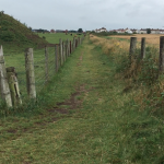 Screen Shot 2020-07-30 at 09.45.46